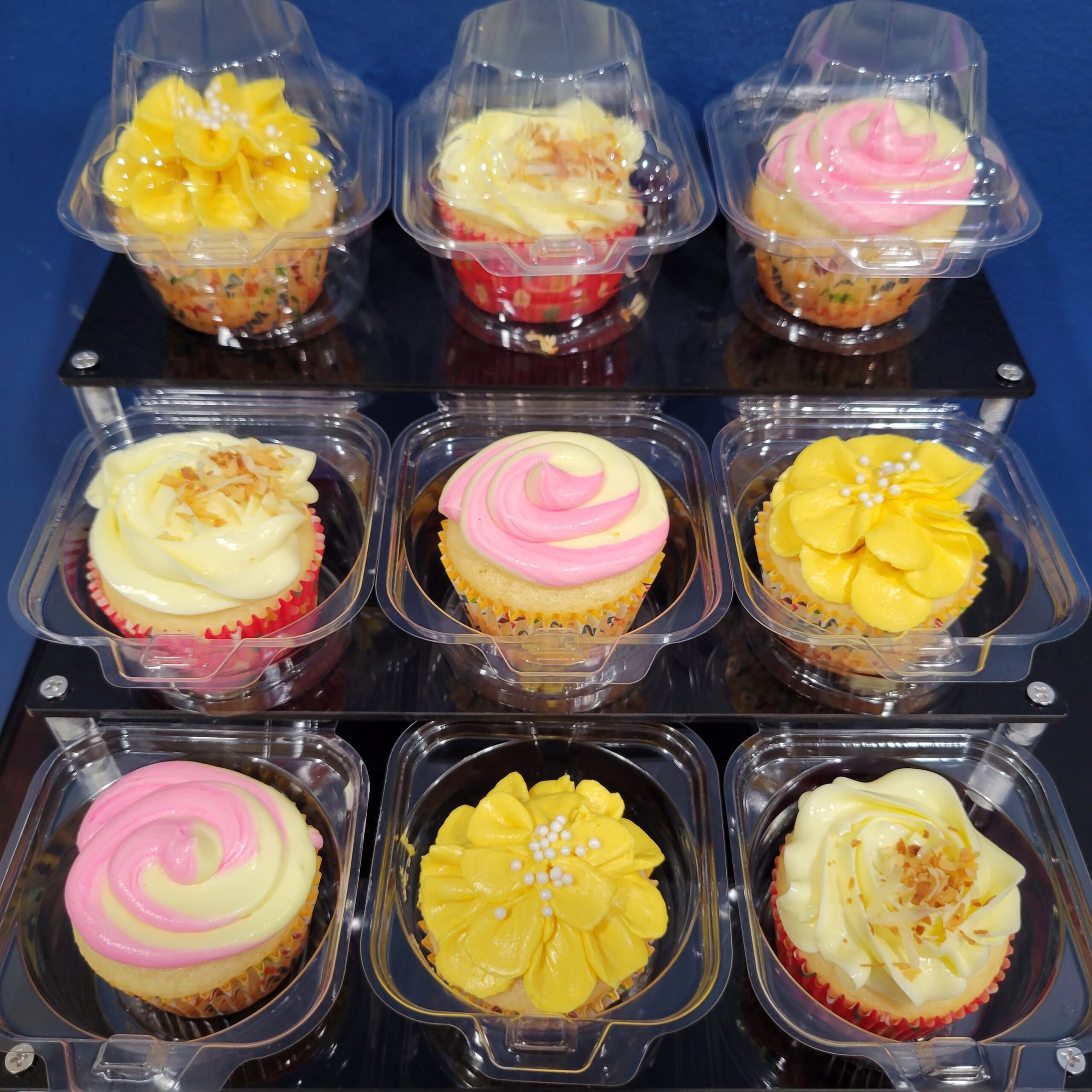 Cupcake Carnival: Assorted Flavors Delight (15 cupcakes)